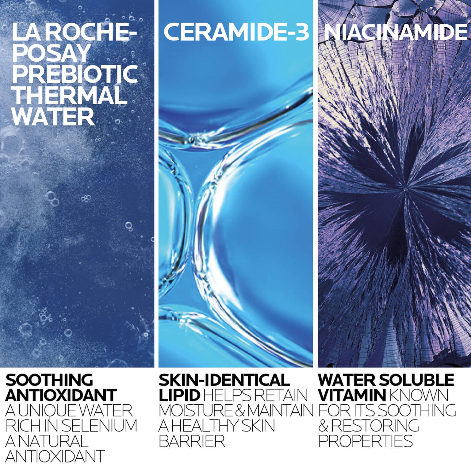 toleriane-purifying-foaming-cleanser-and-toleriane-double-repair-face-moisturizer-travel-set-m5 2-TolerianeCleanserUSRefill-400ml-ATF Ingredient Science-Rev.jpg