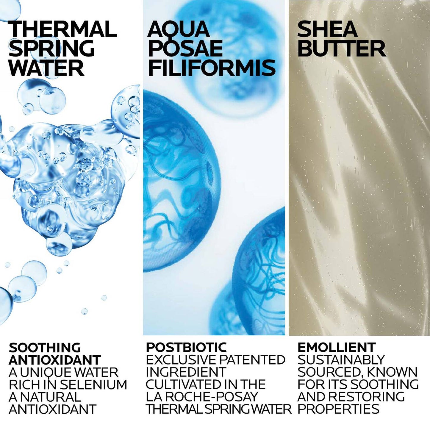 lipikar-wash-ap-moisturizing-body-and-face-wash-y7 Lipikar-Wash-ingredients_1500x1500-REV.jpg
